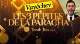 Les 3 Pépites de la Paracha Vayéchev
