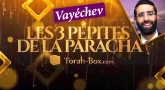 Les 3 Pépites de la Paracha Vayéchev