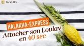Halakha-Express : Attacher son Loulav en 40 secondes