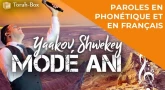 Musique : la chanson "Modé Ani" de Yaakov Shwekey