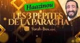 Les 3 Pépites de la Paracha Haazinou
