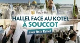 Revivez notre Prière de Souccot face au Kotel à Jérusalem avec Itsik Eshel