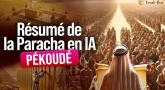 Résumé de la Paracha Pékoudé en animation Vidéo IA