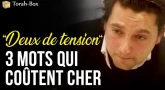 "Deux de tension" : 3 mots qui coûtent cher