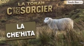 La Torah, c'est pas sorcier : LA CHÉ'HITA (viande Cachère)