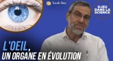 D.ieu dans la Science ! L'œil, un organe en évolution...