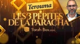 Les 3 Pépites de la Paracha Térouma