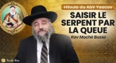 Hiloula du Abir Ya'akov : saisir le serpent par la queue