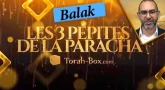 Les 3 pépites de la Paracha Balak