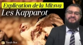 Explication de la Coutume des Kapparot