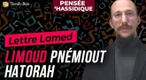 Lettre Lamed : Limoud pnémiout haTorah