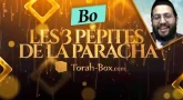 Les 3 Pépites de la Paracha Bo