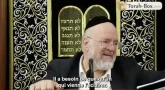 La Paracha Dévarim avec Rav Rosenblum
