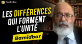 Le Message de la Paracha - Bamidbar : Les différences qui forment l’unité