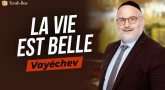 Le Message de la Paracha - Vayéchev : La vie est belle