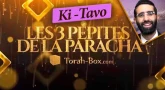 Les 3 Pépites de la Paracha Ki-Tavo