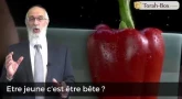 ‎Être jeune c'est être bête ?