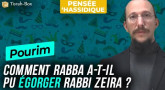 Pourim : Comment Rabba a-t-il pu égorger Rabbi Zeira ?