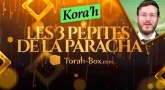 Les 3 Pépites de la Paracha Kora'h