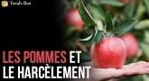 Les pommes et le harcèlement
