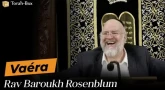 La Paracha Vaéra avec Rav Rosenblum