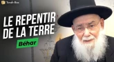 Le Message de la Paracha Béhar : Le Repentir de la terre
