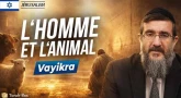 Paracha Vayikra avec Rav Bijaoui de "Toldot Nissim"