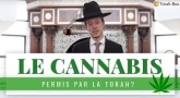 Torah-Tabou : Le Cannabis, permis par la Torah ?