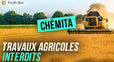 Chémita - Les travaux agricoles interdits