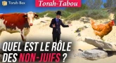 Torah-Tabou : Quel est le rôle des non-Juifs ?