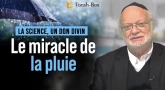 La science, un don divin : Le miracle de la pluie