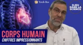 D.ieu dans la Science!  Corps Humain : Chiffres Impressionnants