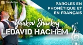 Musique : la chanson "Ledavid Hachem" de Yaakov Shwekey