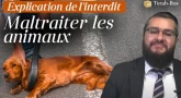 Explication de l'interdit de maltraiter les animaux
