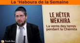 La ‘Haboura de la Semaine - Le Héter Mékhira, la vente des terres pendant la Chémita