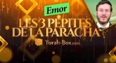 Les 3 Pépites de la Paracha Emor