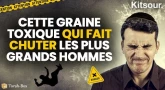 "Cette Graine Toxique Qui Fait Chuter Les Plus Grands Hommes..." Kitsour.