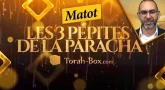 Les 3 Pépites de la Paracha Matot