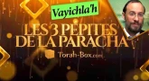 Les 3 Pépites de la Paracha Vayichla'h