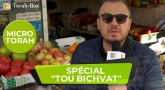 Micro-Torah spécial "Tou Bichvat"