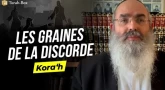 Le Message de la Paracha - Kora'h : Les graines de la discorde (Rav Shlomo Sabbah)