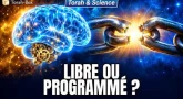 Tes choix sont-ils déjà écrits ? | Torah & Science #7