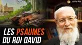 Les Psaumes du Roi David