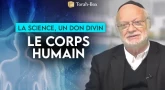 La science, un don divin : Des neurones à la rétine : le miracle du corps humain
