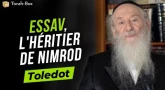 Toledot : Essav, l'héritier de Nimrod