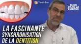 D.ieu dans la Science! La fascinante synchronisation de la dentition