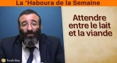 La ‘Haboura de la Semaine - Attendre entre la viande et le lait