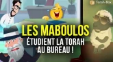 Les Maboulos étudient la Torah
