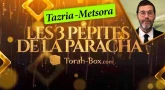 Les 3 Pépites de la Paracha Tazria - Metsora