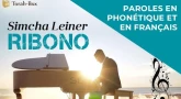 Musique : La chanson "Ribono" de Simcha Leiner